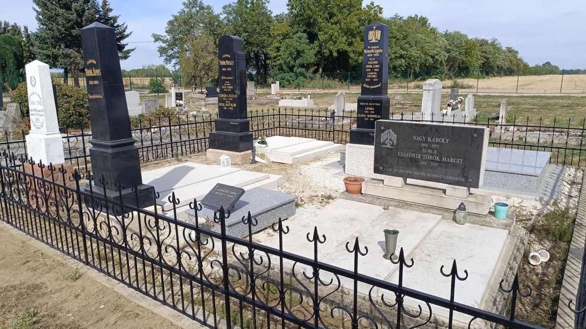 A csáfordi és jobaházi Török család méltón őrzi ősei nevét és emlékét, Petőfi múzsája is rokonuk volt