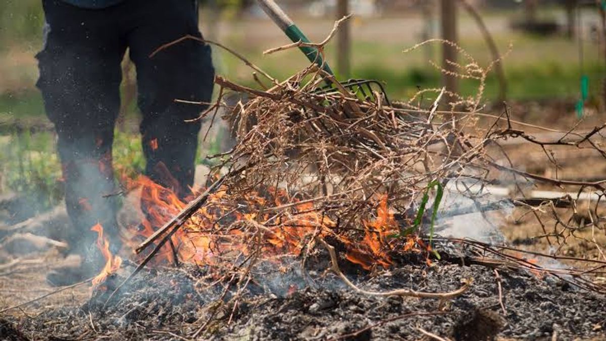 Zöldhulladék égetés ősszel: Jánossomorján most engedélyezett