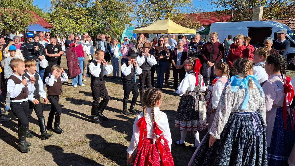 Szigetközi Tájegységi Értéknap – mutatjuk az értéktár új kincseit
