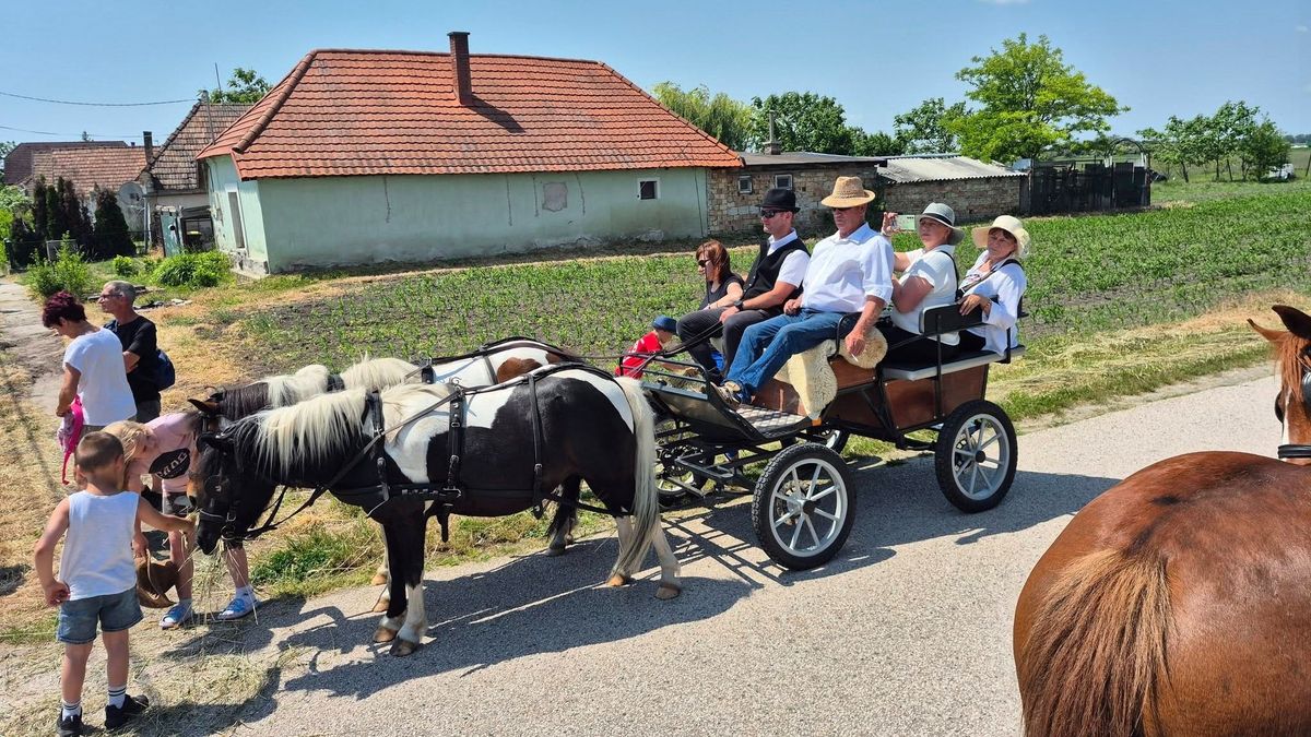 Lovasok, fogatok, néptáncosok és mazsorettesek is felvonulnak Péren
