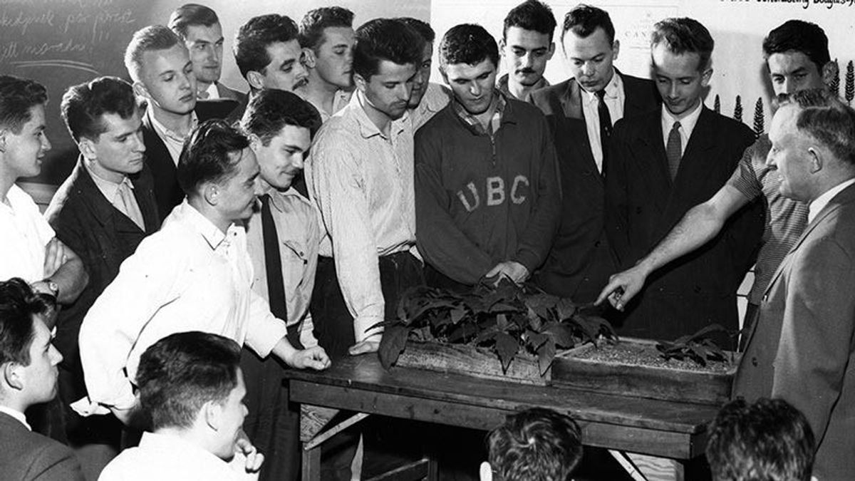 1956 emlékének ajánlják az új Hubertusz kilátót Sopronban - régi és új fotók
