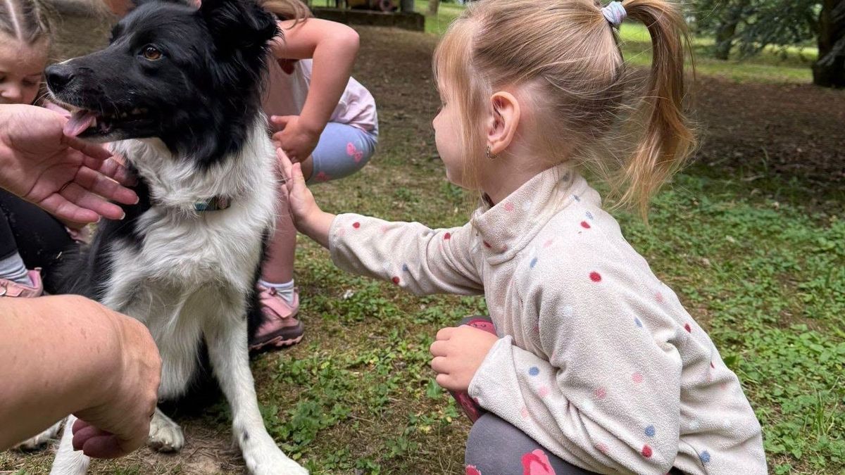 A kutya igazi terápiás társ időseknek és fiataloknak is
